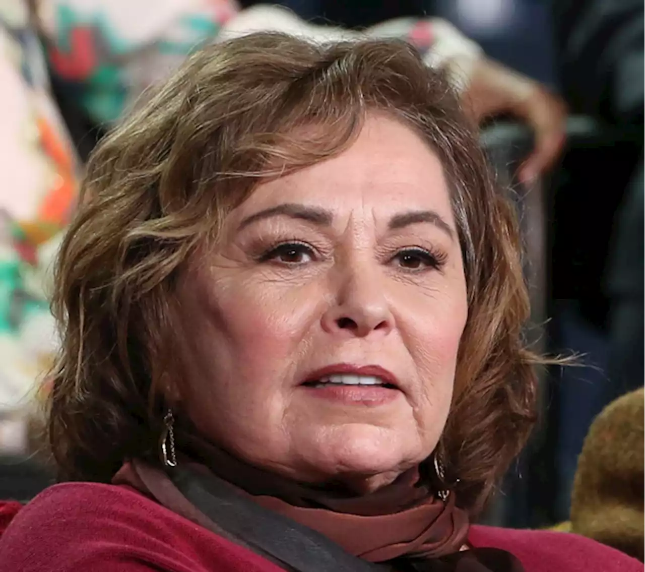 Roseanne Barr: “I Don’t Think They’ll Ever Stop Trying To Come After Me”