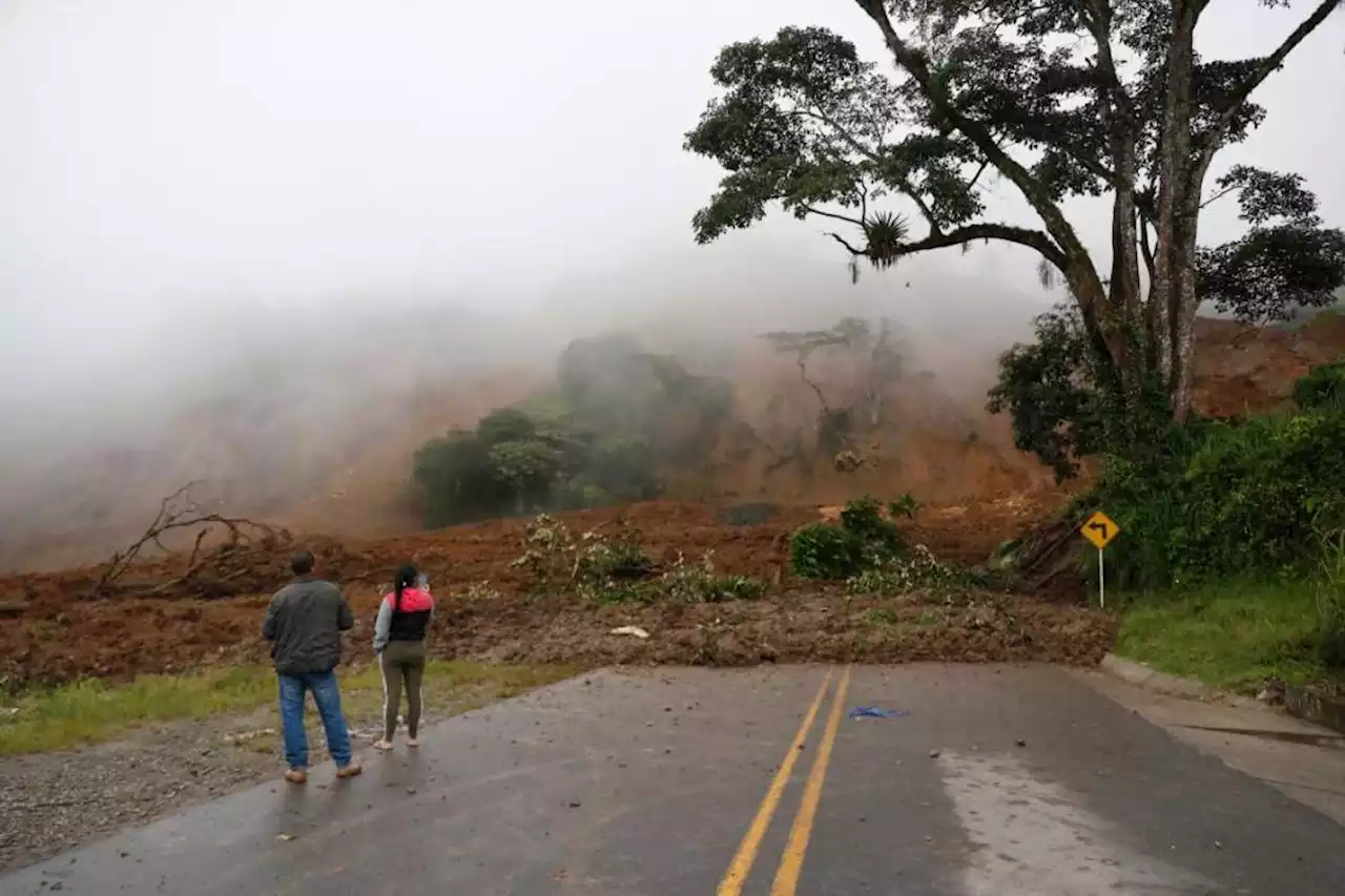 Pérdidas de $350 mil millones por derrumbe en Rosas, Cauca