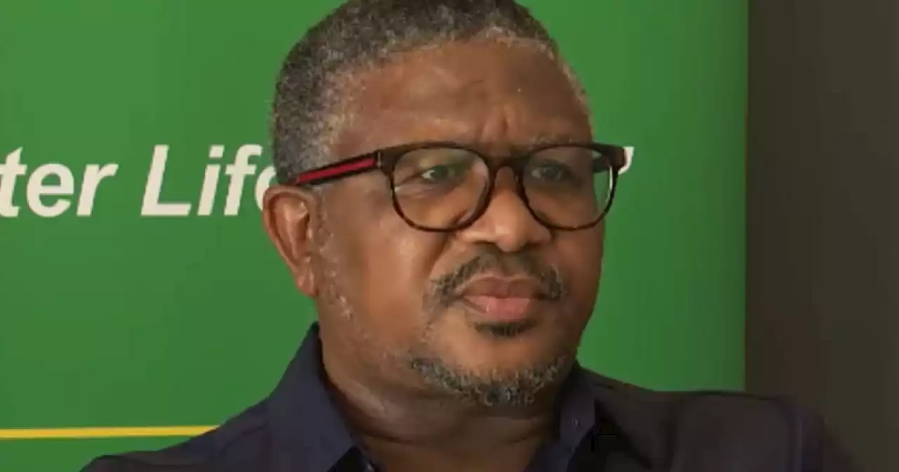 Mbalula slams ANC members for their role in collapsing coalition governments