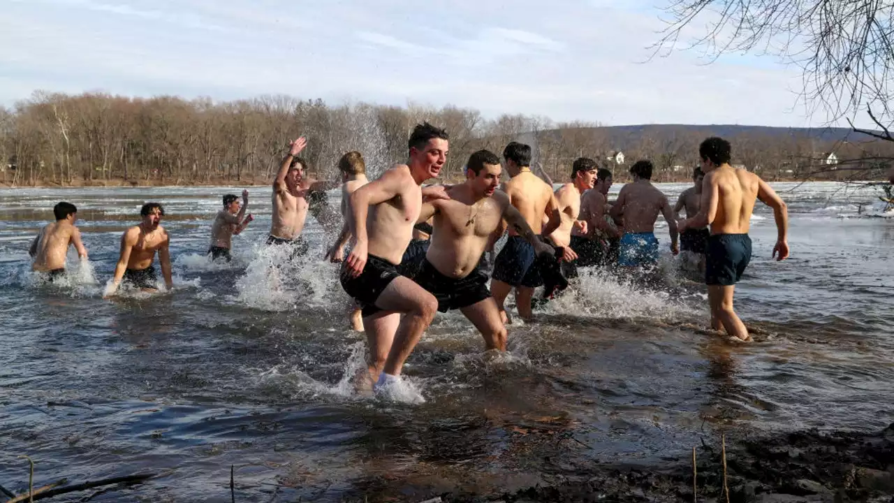 Celebrities promote ice baths, but science on health benefits is lukewarm