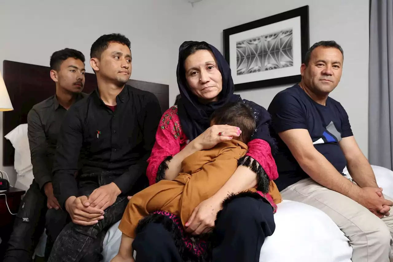 Afghan refugees have ‘high hopes’ for new life in Canada after months in limbo