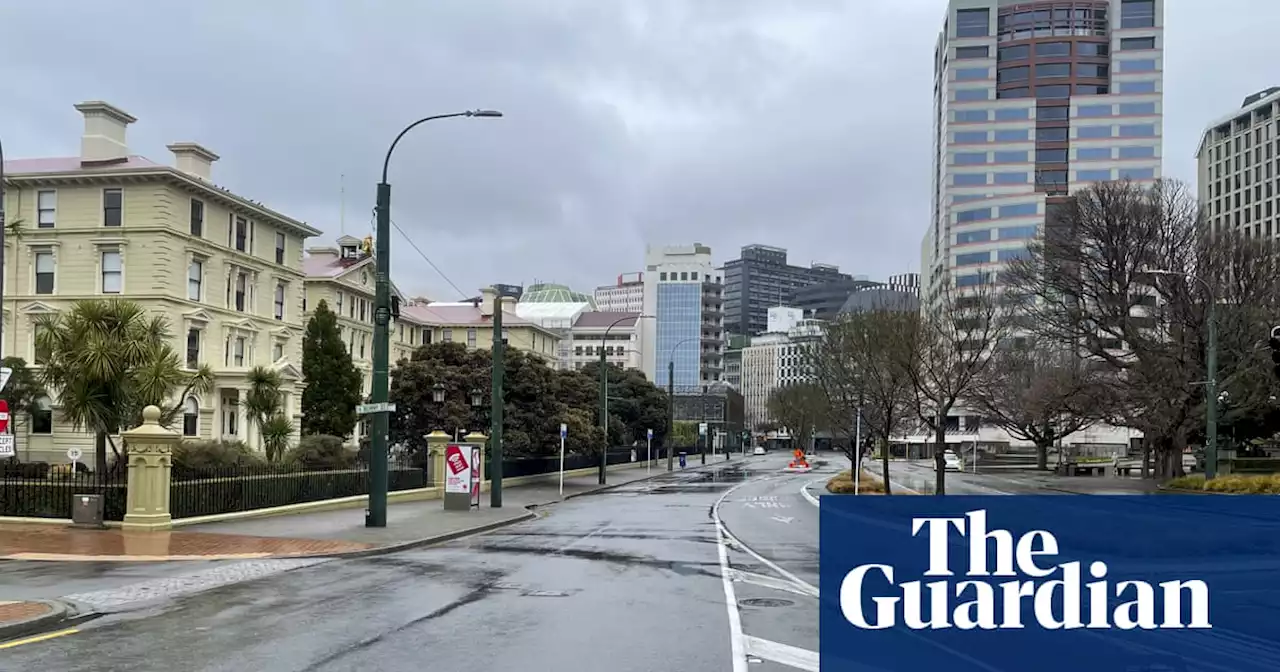 Watch out for falling street lights, Wellington tells residents