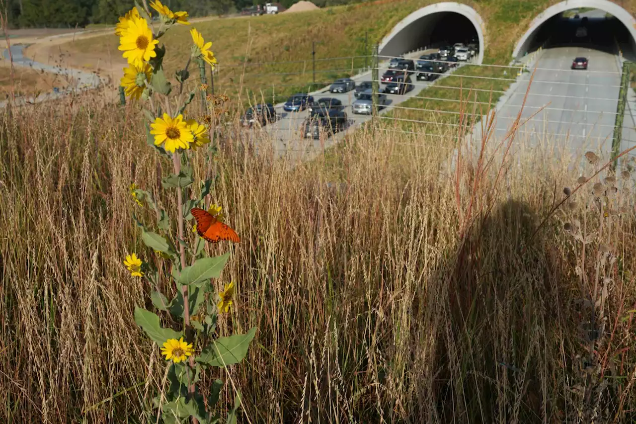 Editorial: What Memorial Park can teach Texas' highway department