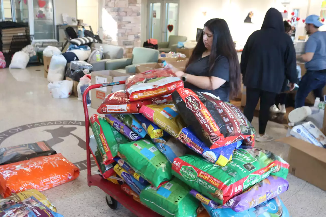 Pasadena church raises $17,700 in pet supplies and money for tornado-damaged animal shelter