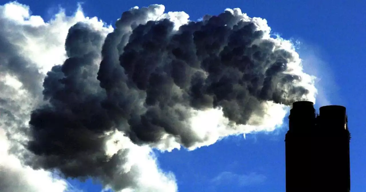 Government spending supports €2bn of potentially climate harmful activity, study finds