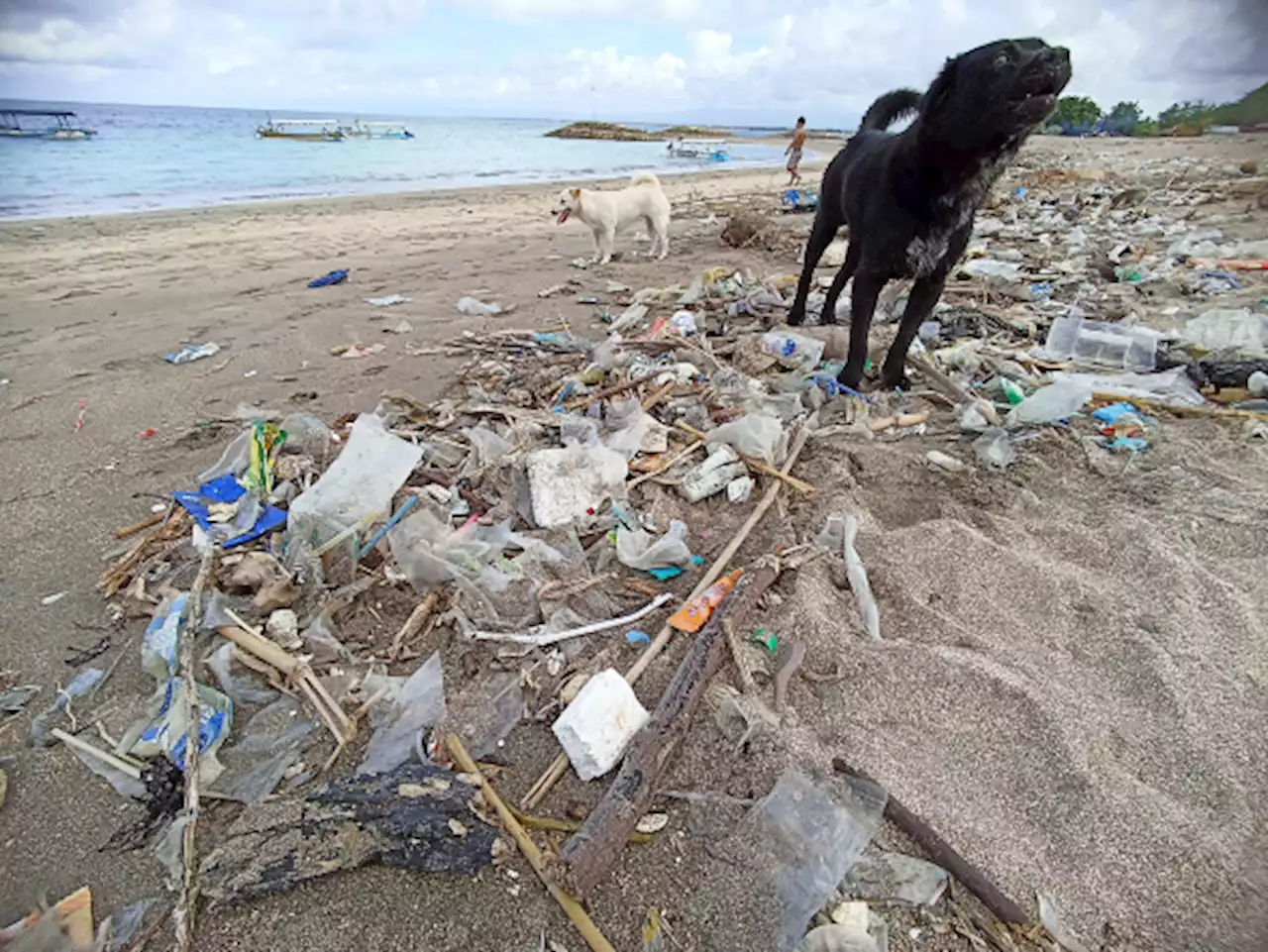 Sampah Kiriman Terus Serbu Pantai, J2PS: Banyak Produsen Abaikan Permen 75/2019