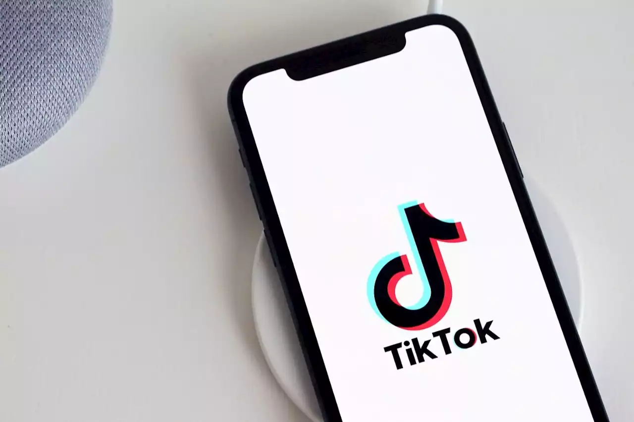 TikTok jugé trop 'opaque' : le Sénat ouvre une enquête