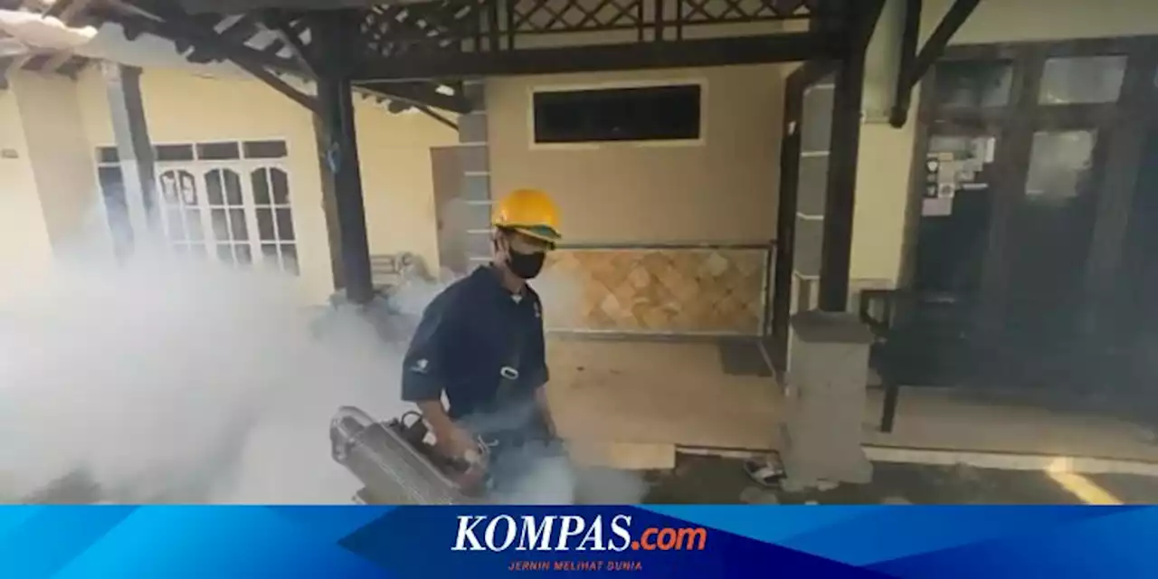 84 Kasus DBD di Brebes Sepanjang Januari 2023, Satu Meninggal Dunia