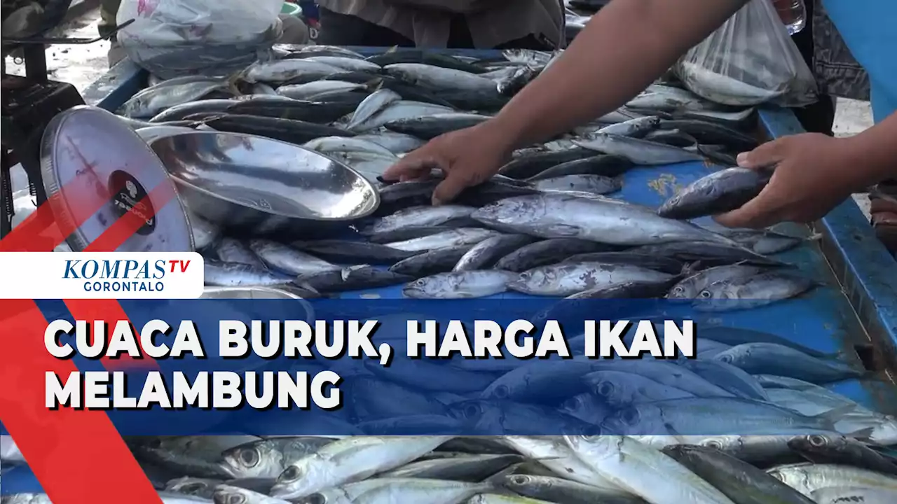 Cuaca Ekstrem, Harga Ikan Laut di Gorontalo Melambung