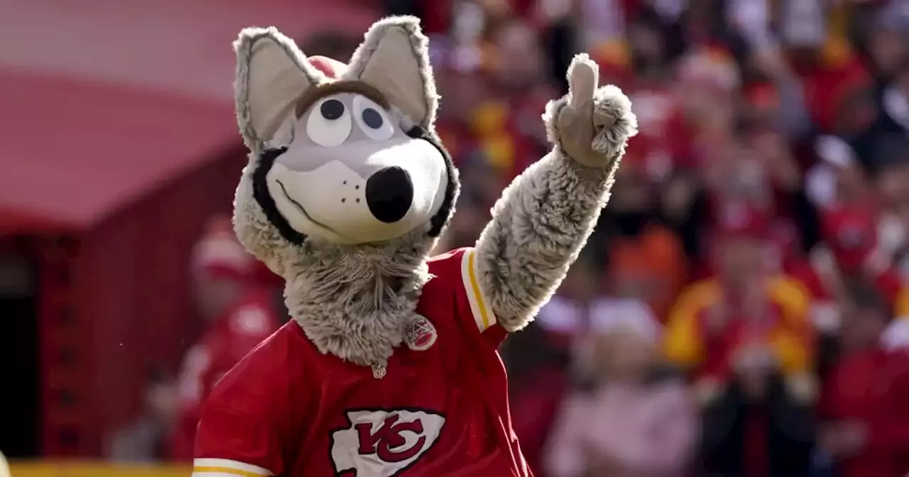 Super Bowl LVII: How Kansas City Chiefs mascot KC Wolf nearly died