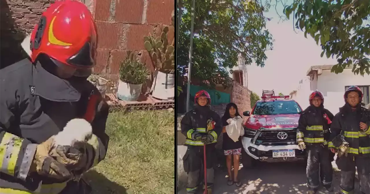 Video: bomberos rescataron a un cachorro que cayó a un pozo de siete metros en Córdoba | Ciudadanos | La Voz del Interior