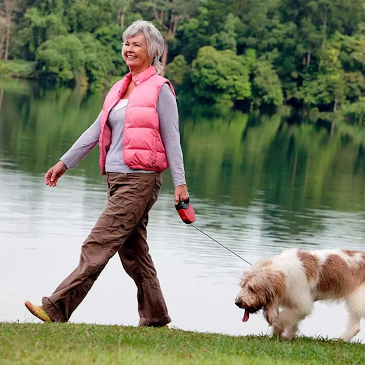 Breast Cancer: 9 Surprising Benefits of Pet Ownership for Breast Cancer