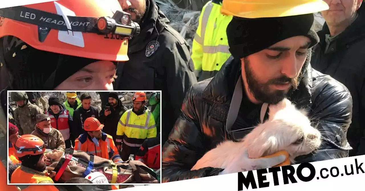 Dog leads rescuers to owner buried under rubble for days after Turkey-Syria quak