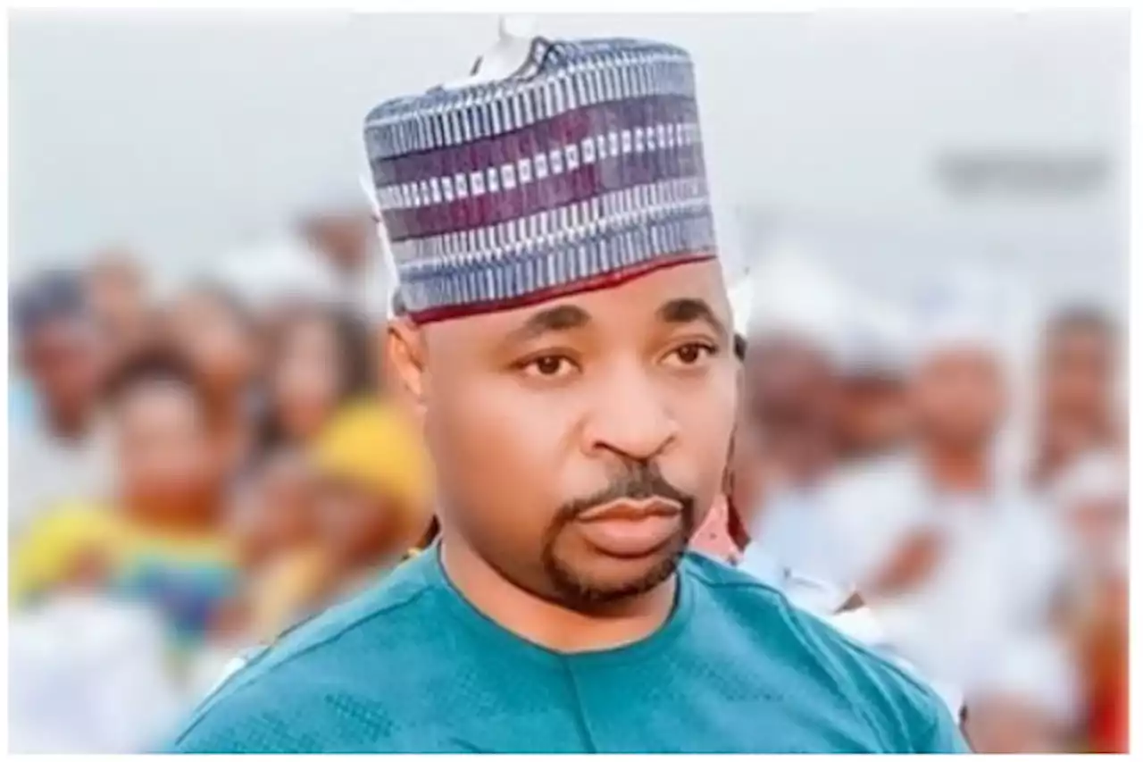 Elections: Working with MC Oluomo big risk, ex-NERC boss warns INEC