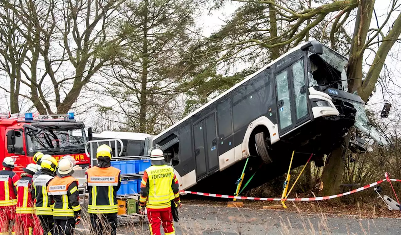 Unfall nahe Hamburg: Plötzlich hob der Bus ab