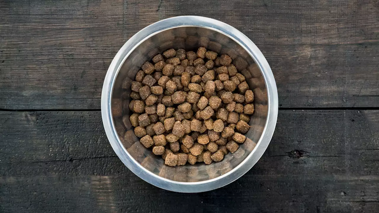 Purina Issues Recall For Certain Prescription Dog Food