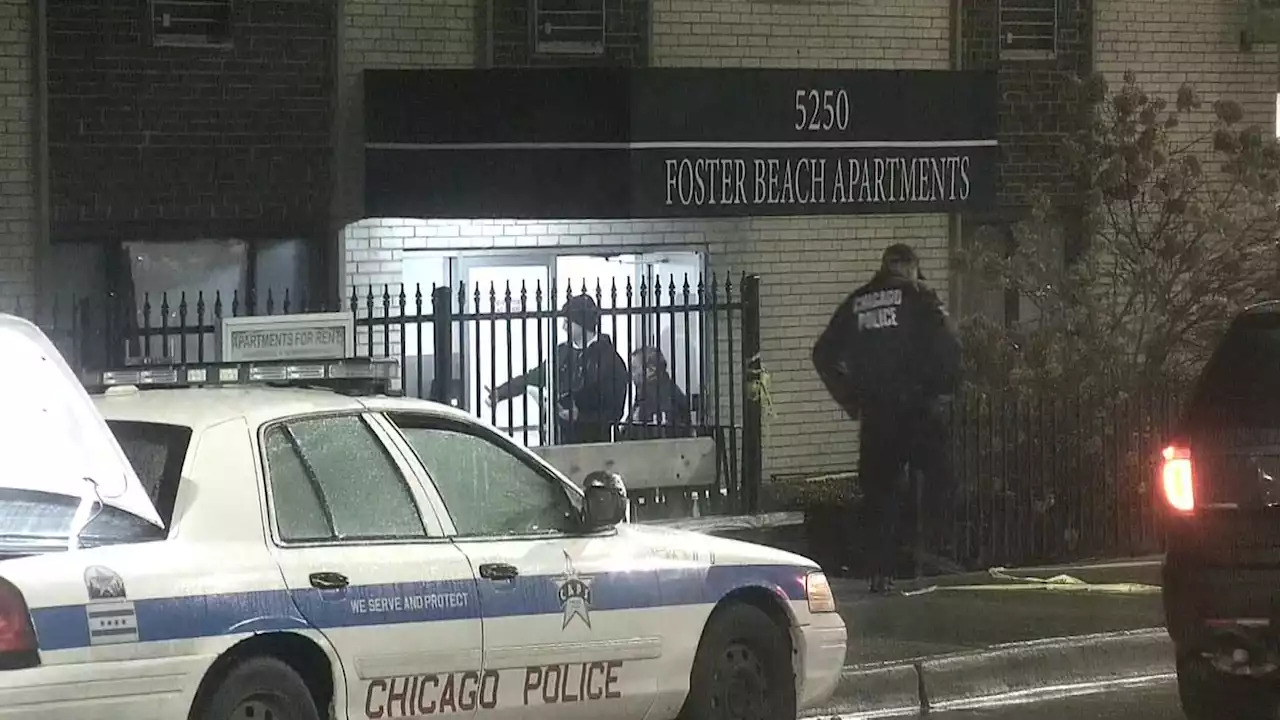 Woman in Custody After Good Samaritan Fatally Stabbed in Edgewater Trying to Stop Attack