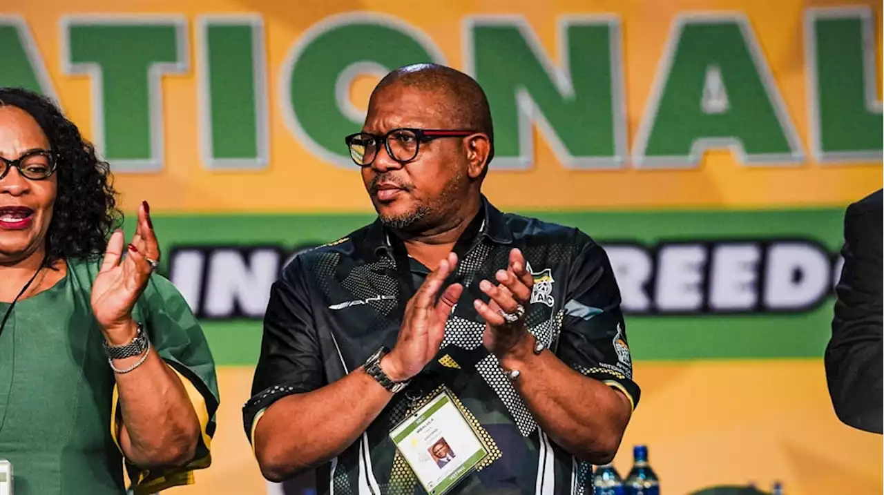 ANC's electricity minister vision; 'project manager' and Ramaphosa's eye at Eskom | News24