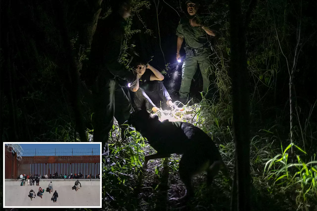 Number of Chinese migrants caught at southern border skyrockets over 700%