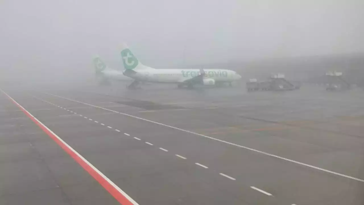 Waarschuwing vanwege dichte mist, vluchten op Eindhoven Airport vertraagd