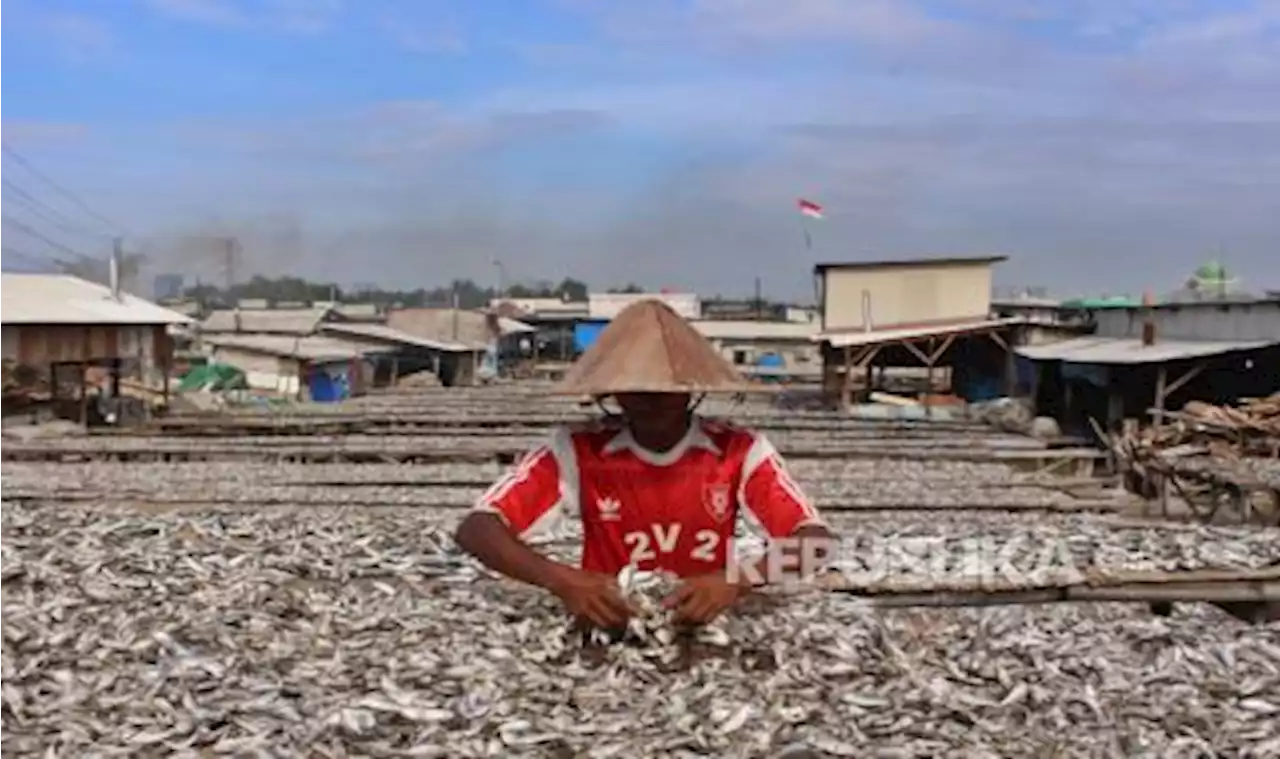 KKP Ungkap Dampak Perppu Ciptakerja untuk Ekonomi Biru |Republika Online