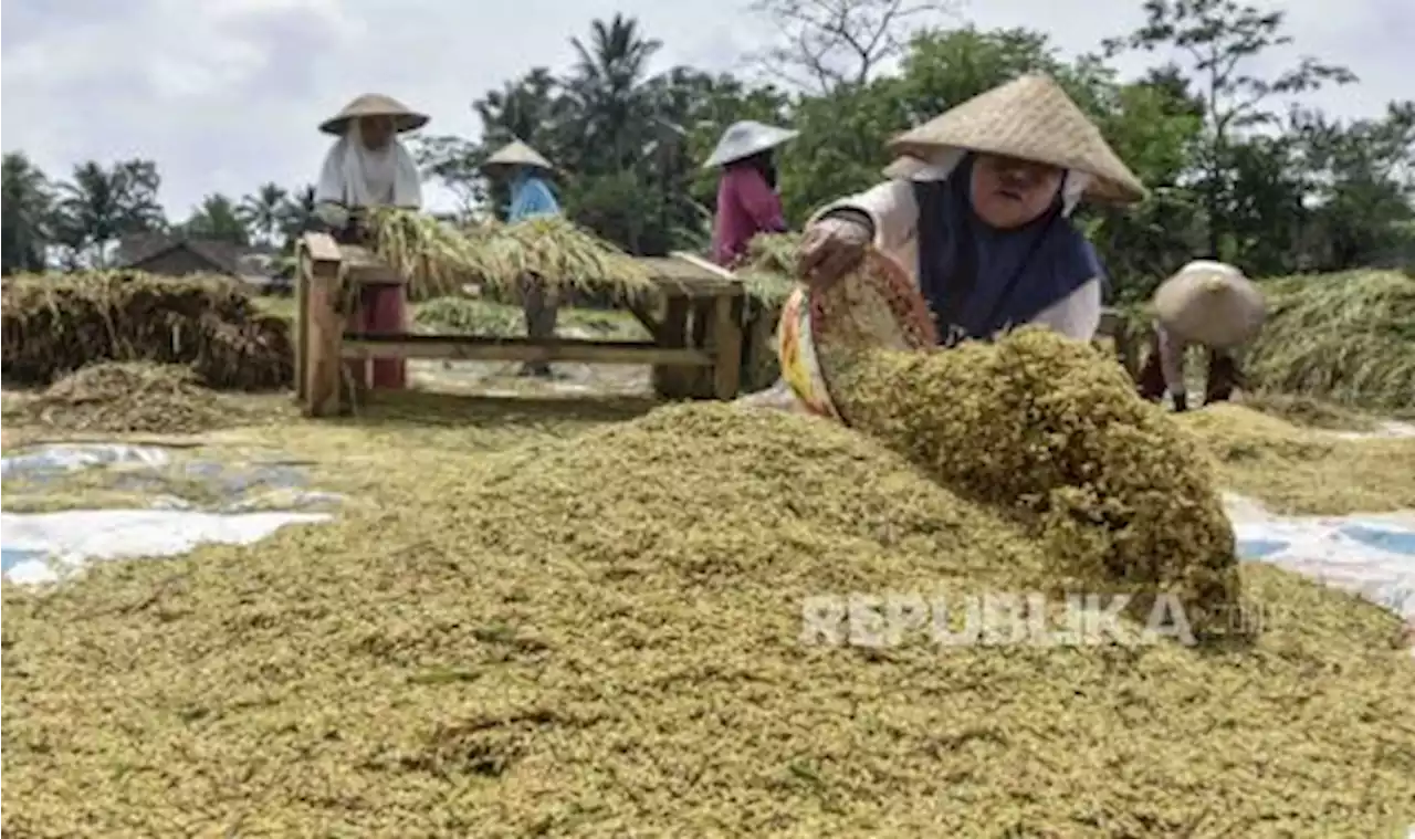 Solok Selatan Dorong Panen Padi Tiga Kali Setahun |Republika Online