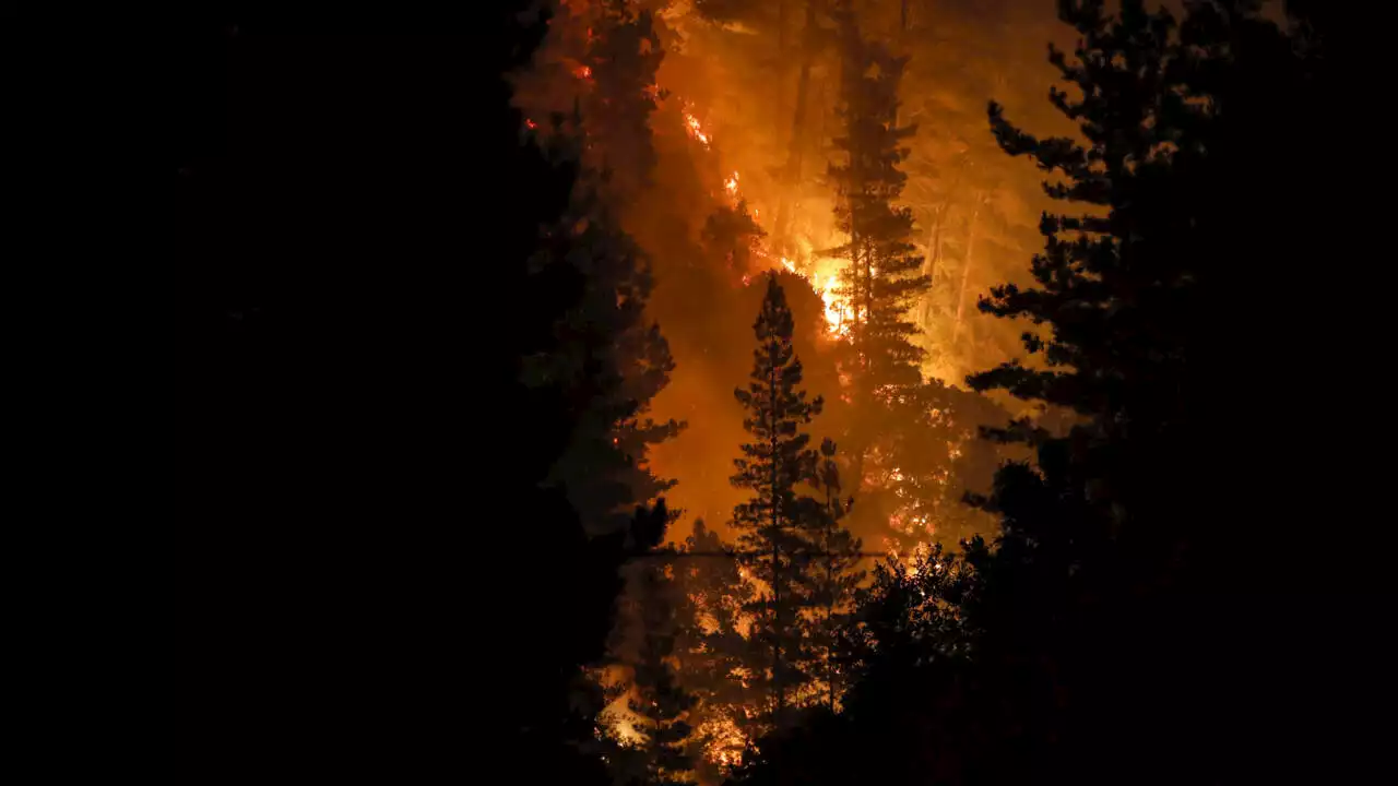 Incendies au Chili: les gardes forestiers préparent la forêt pour contenir l’avancée des flammes