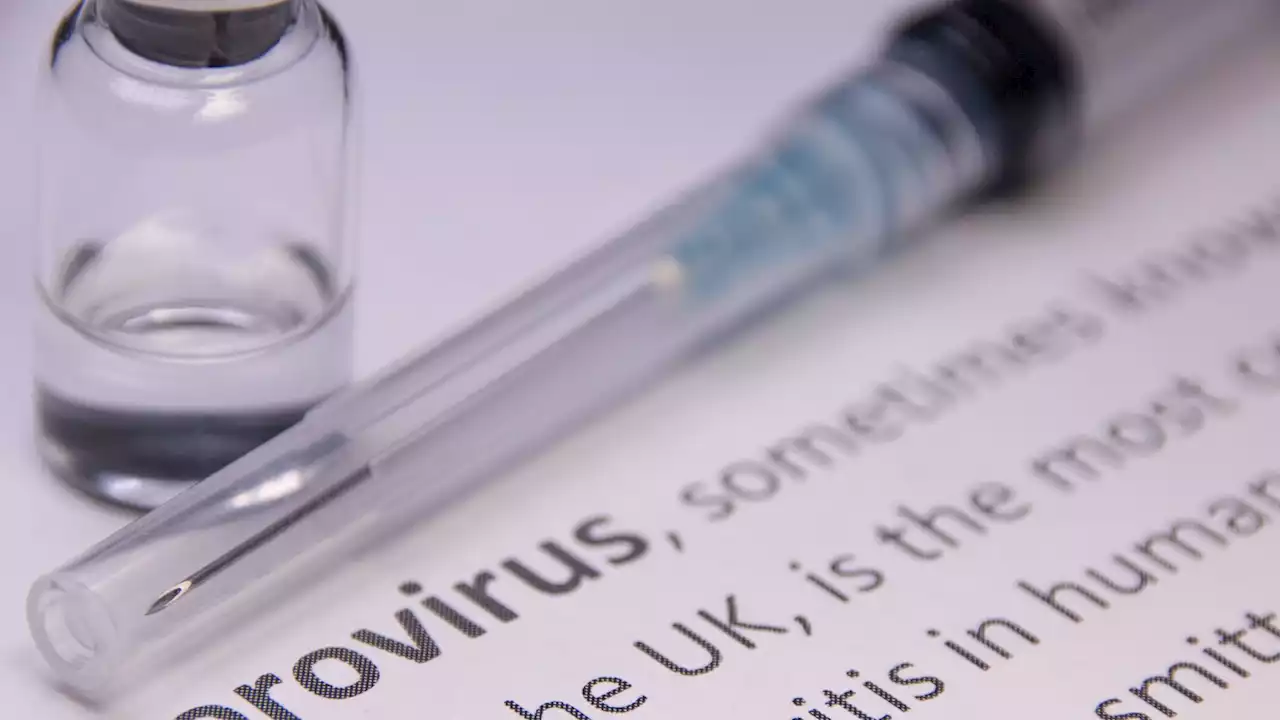 Norovirus cases hit their highest level for a decade