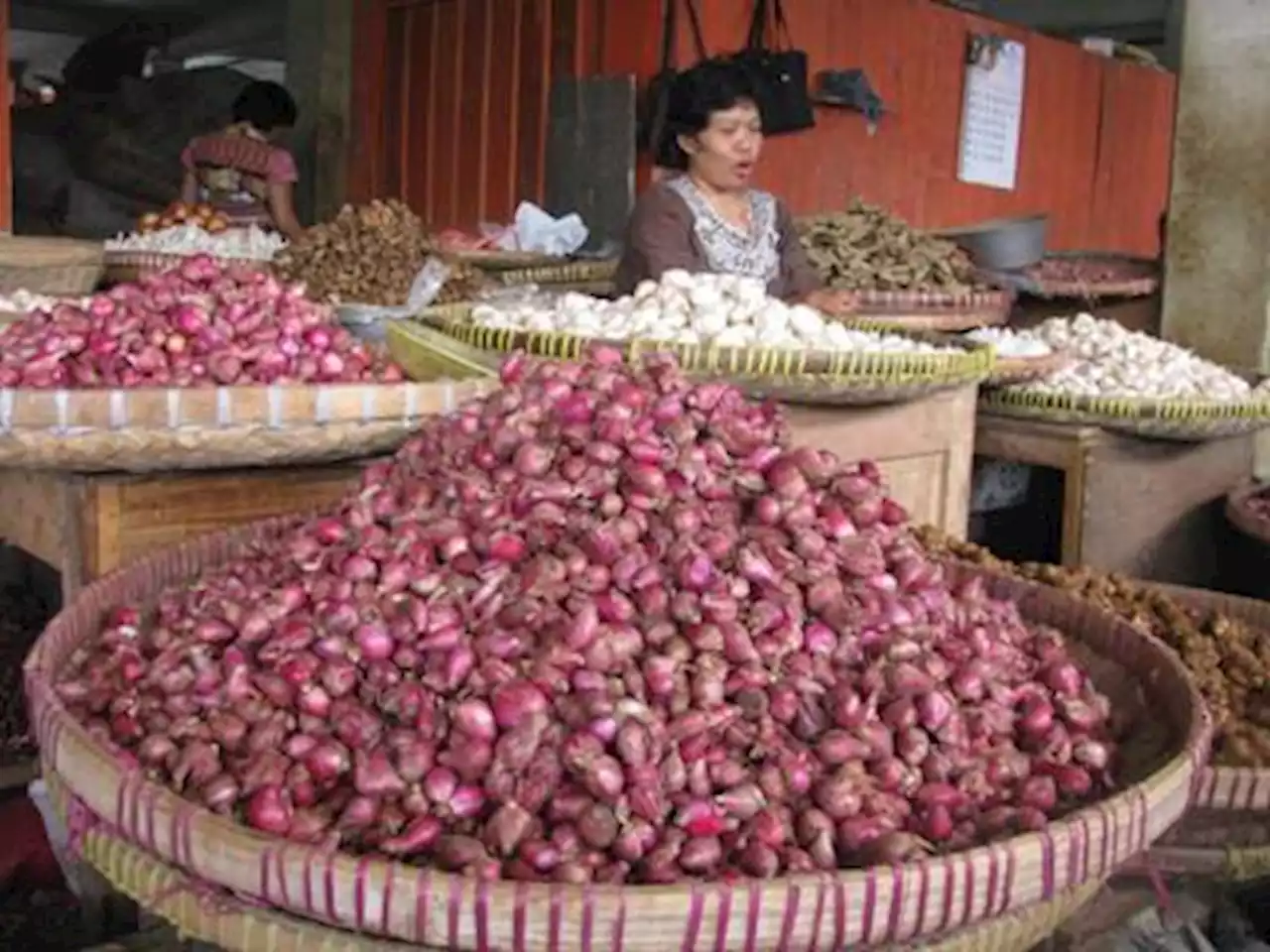 Panen Bawang Merah di Temanggung, Kementan: Stok Aman Jelang Puasa & Ramadan