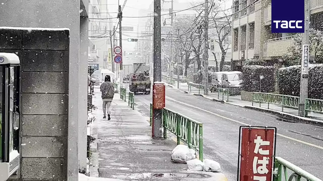 В Токио объявили предупреждение в связи с угрозой сильного снегопада