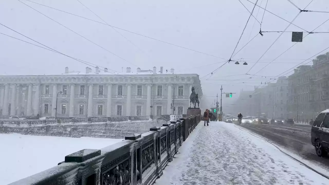 В Петербурге из-за штормового ветра закрыли парки, сады и затворы дамб