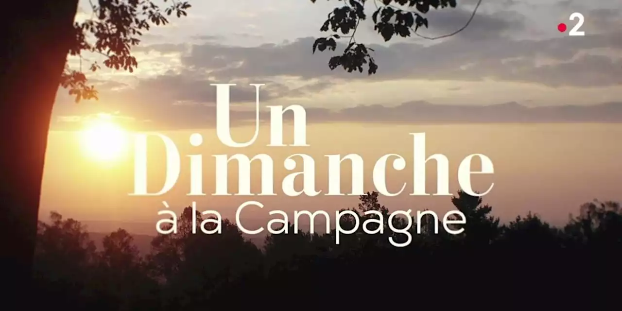 Un dimanche à la campagne déprogrammée : quand reviendra l’émission de Frédéric Lopez sur France 2 ?