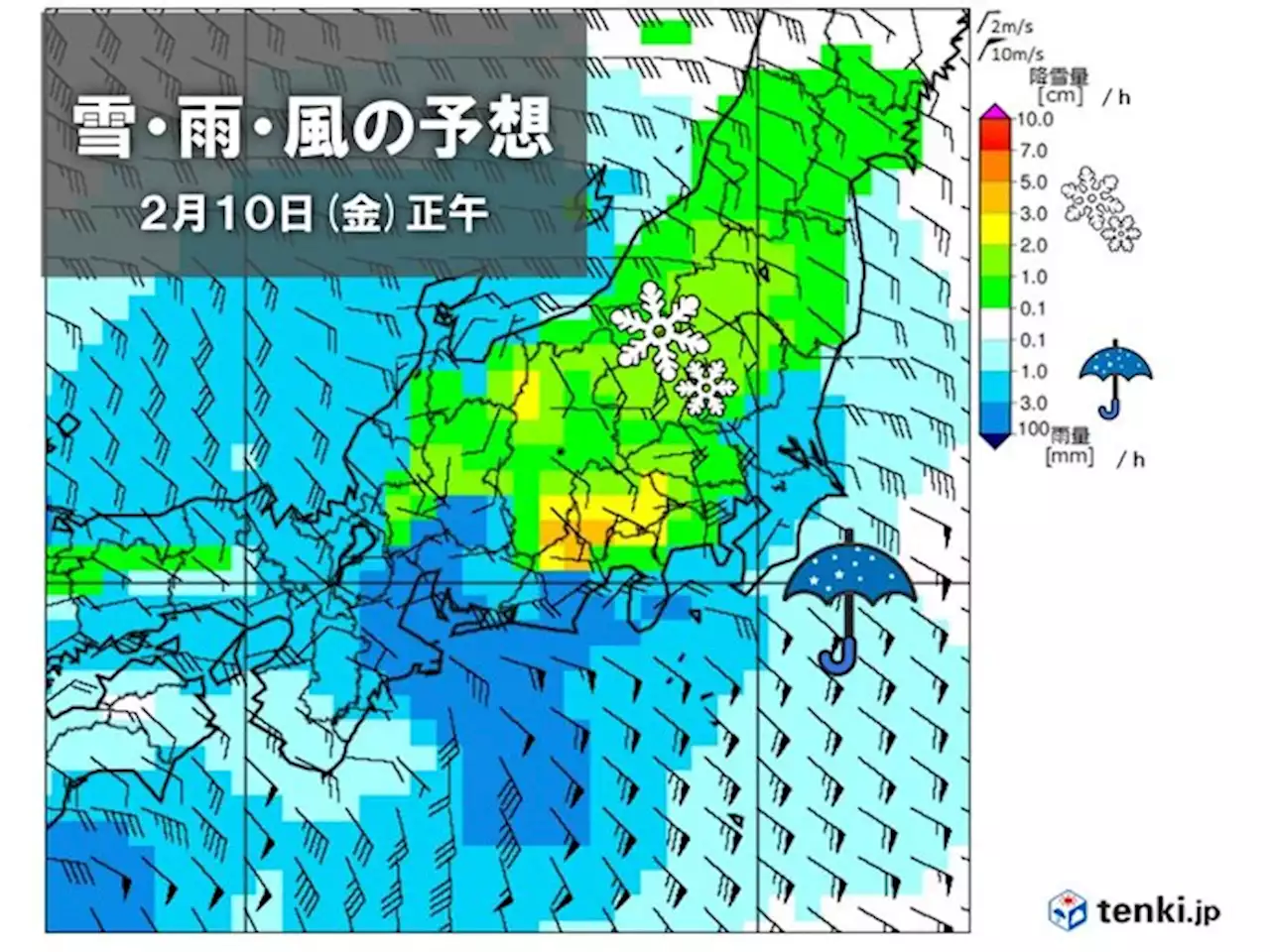 10日 東京23区でも積雪 内陸部中心に大雪の恐れ 帰宅時は交通機関の乱れに警戒(気象予報士 吉田 友海)