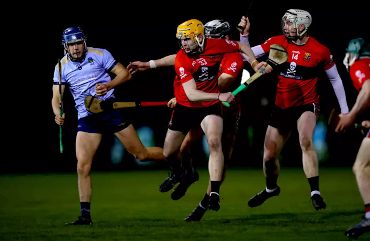 Flynn hits 0-14 as UCC edge into Fitzgibbon Cup last four