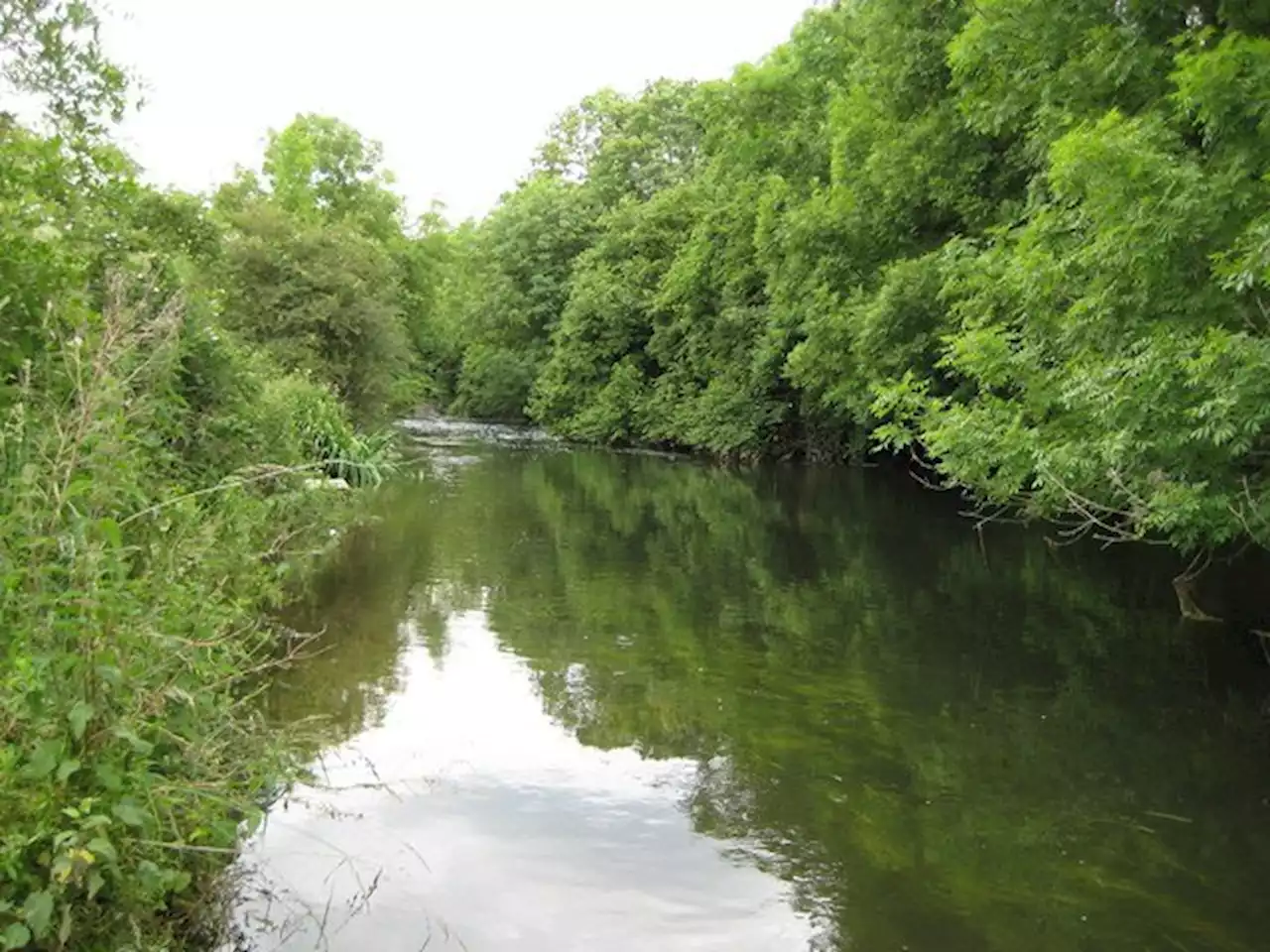 Britain's water companies are pumping filth into our rivers. Journalists can stop them