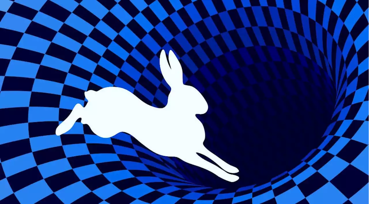 Rabbit reveals cause of IT outage