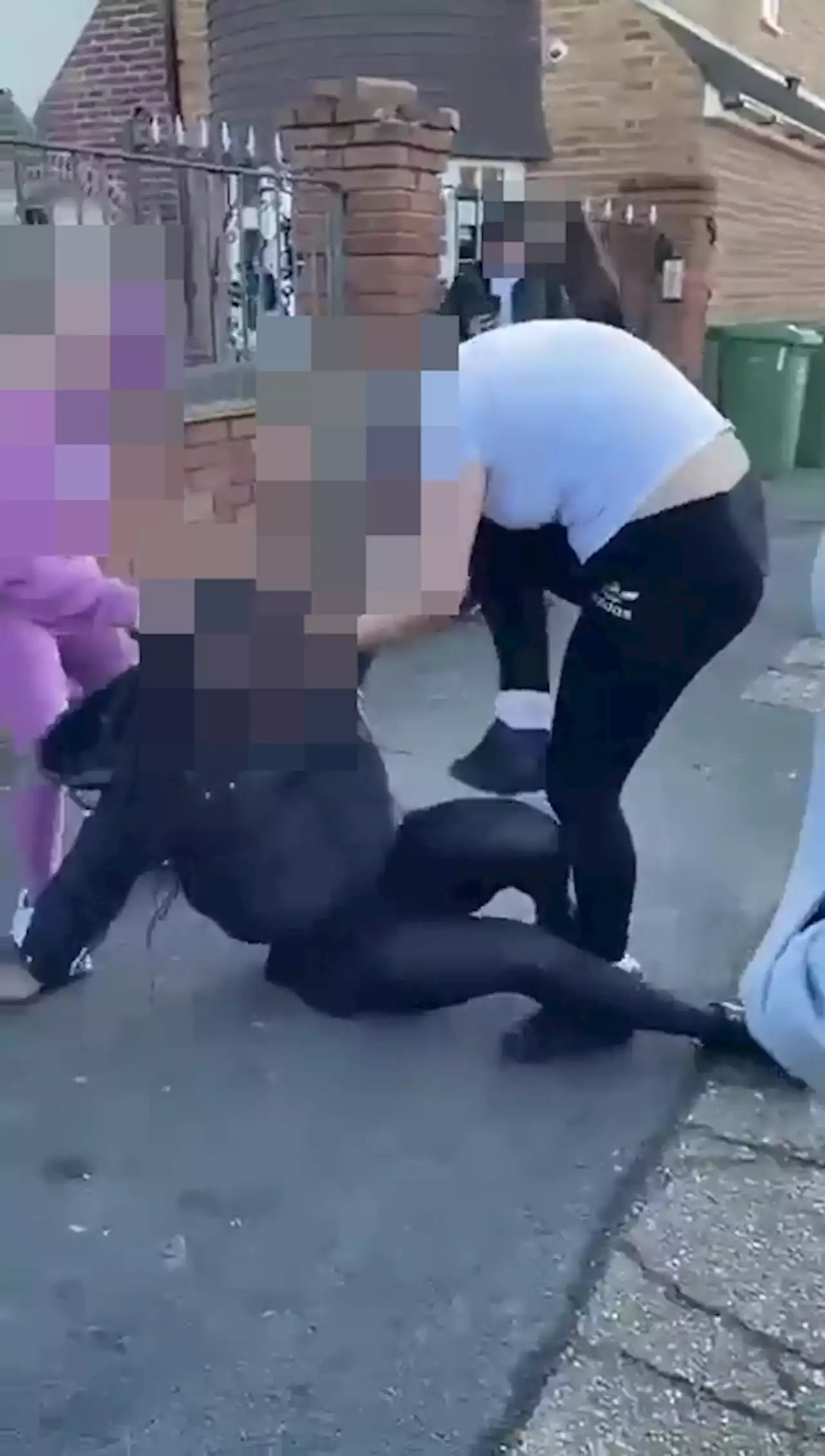 Five arrested over vicious 'racist' attack on girl, 15, outside school gates