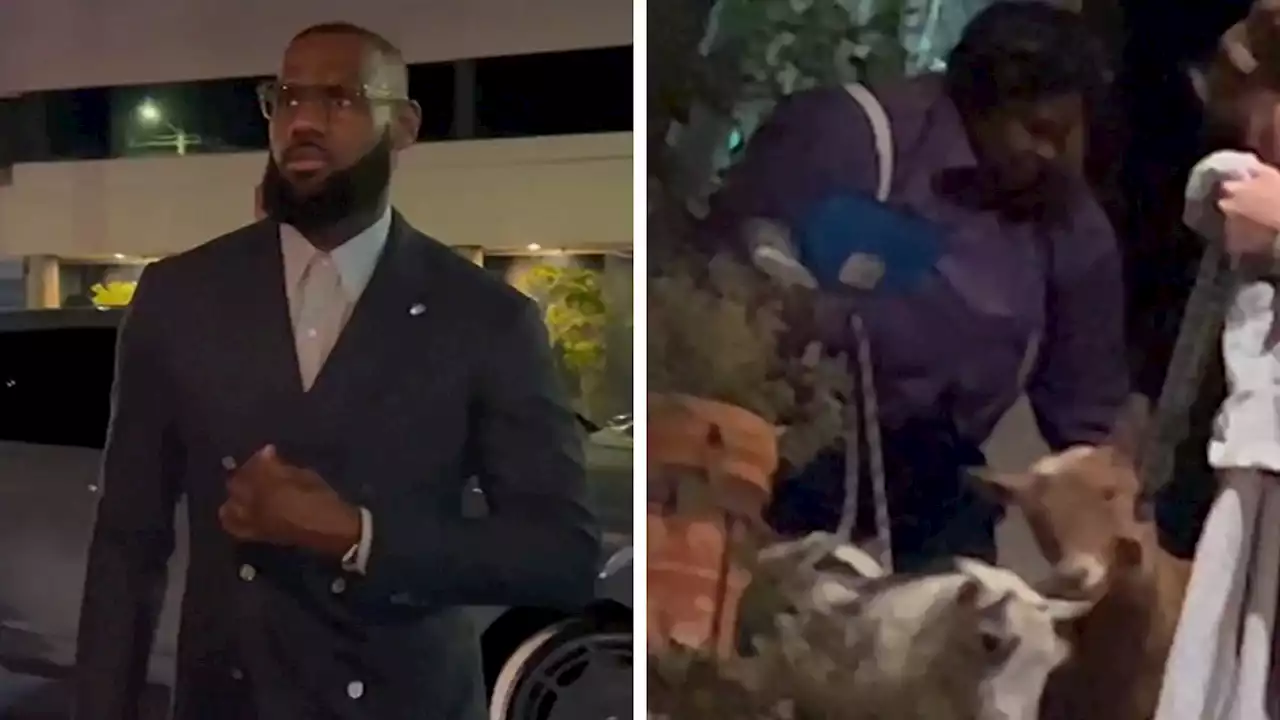 LeBron James Hosts Two Goats At Dinner Party With Savannah, Friends