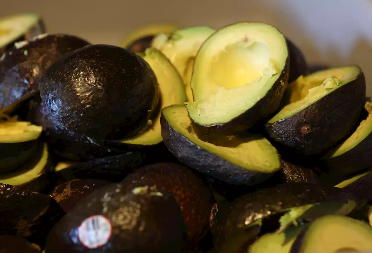 Cuánto aguacate se consume en el Super Bowl 2023