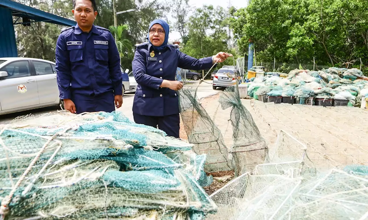 1,435 bubu naga dirampas Perikanan Selangor