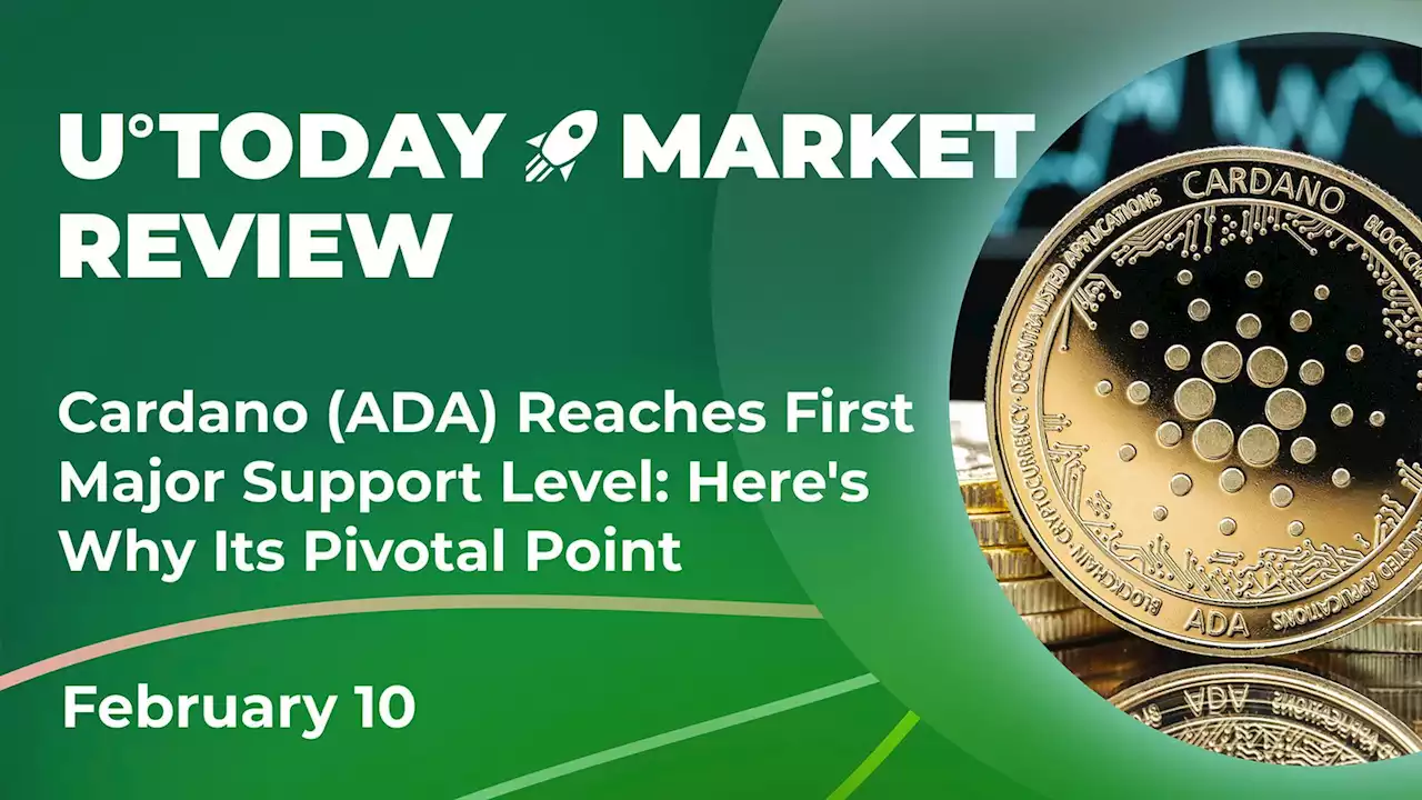 Cardano (ADA) Reaches First Major Support Level: Here's Why This Is Pivotal