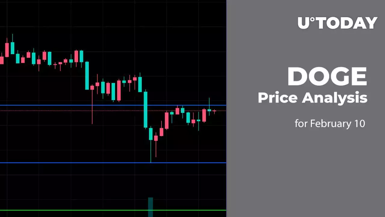 DOGE Price Analysis for February 10