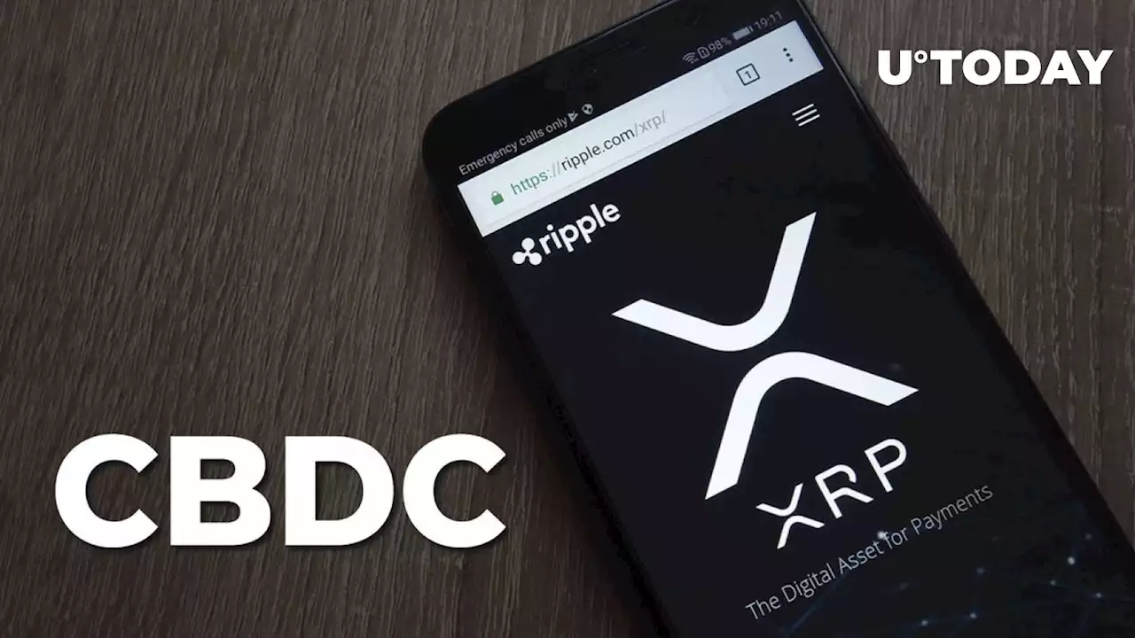 Former Ripple Chief Engineer Slams CBDC on XRP Notion, Here's Why