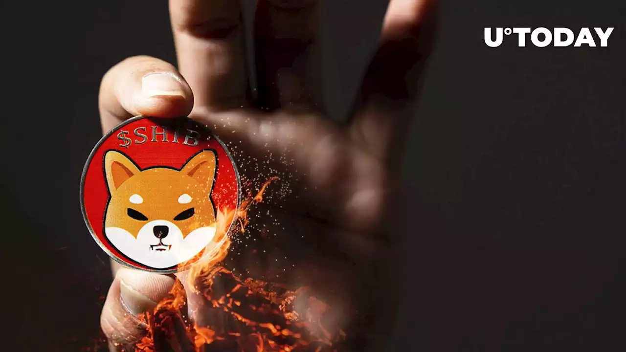 Shiba Inu (SHIB) Burn Plummets Below 1 Million Tokens as Asset Loses 15%