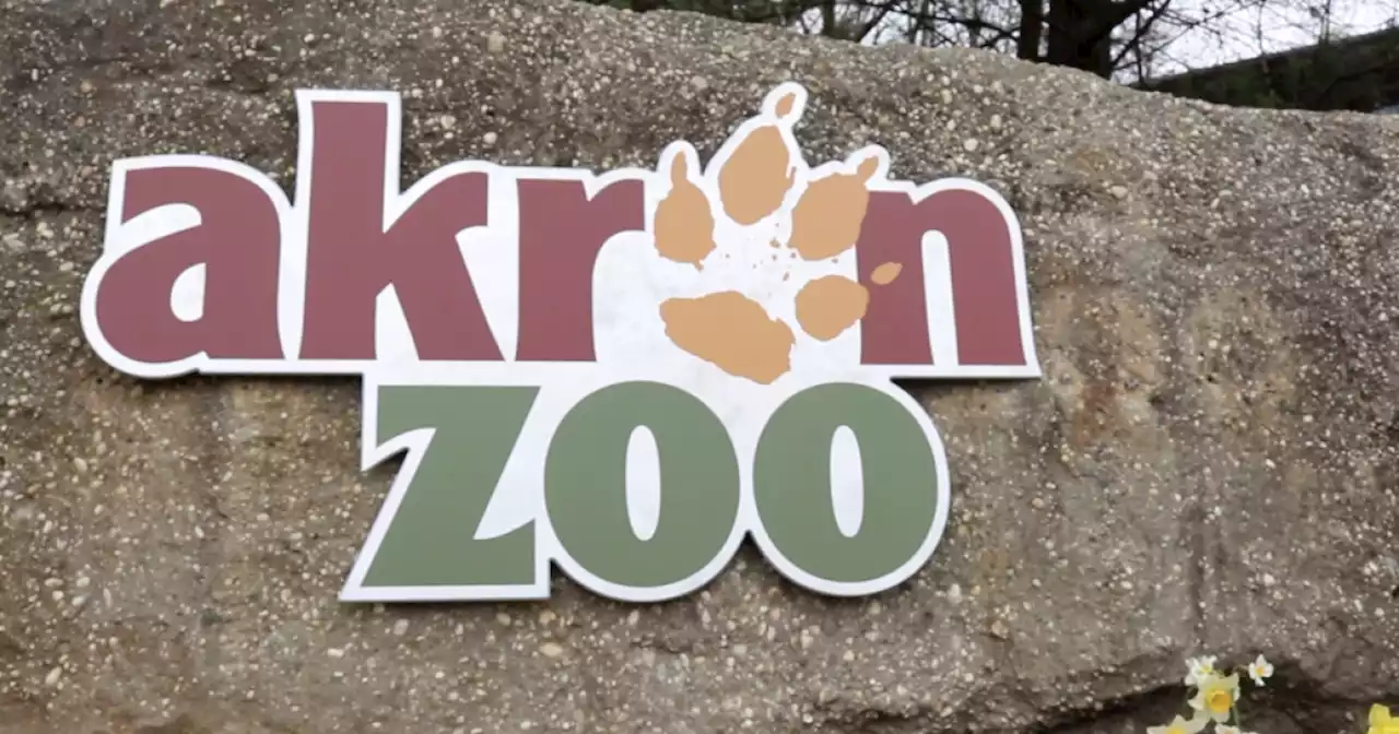 Akron Zoo closes for the remainder of the day Friday due to tree falling