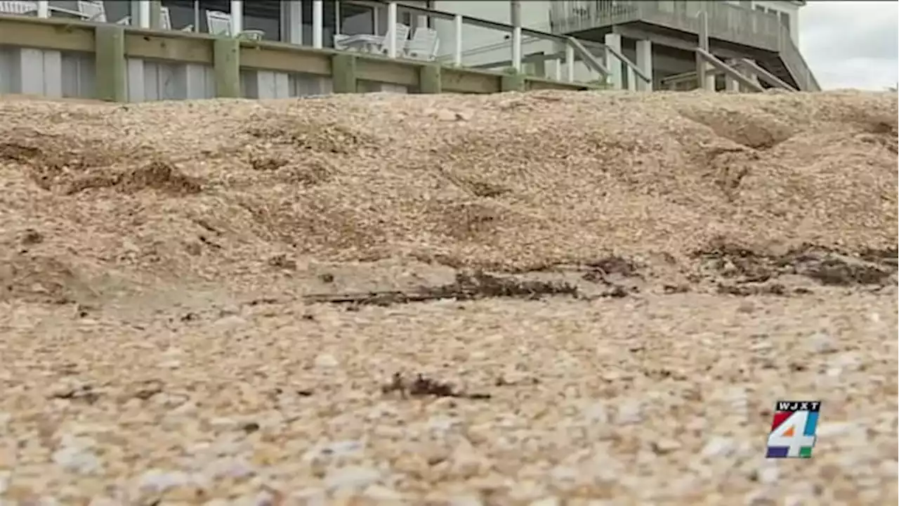 St. Johns County needs permission from beach residents before repairing sand dunes