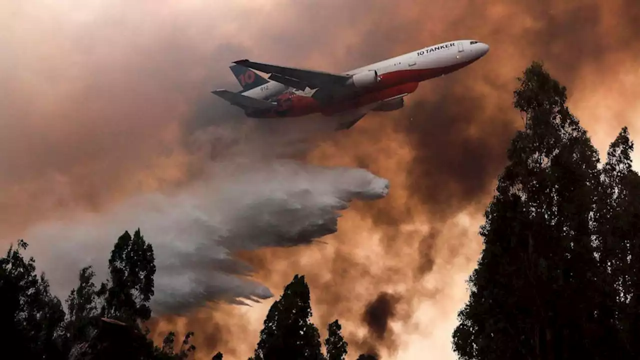 At least 26 dead and 2,000 injured as wildfires rage out of control across Chile