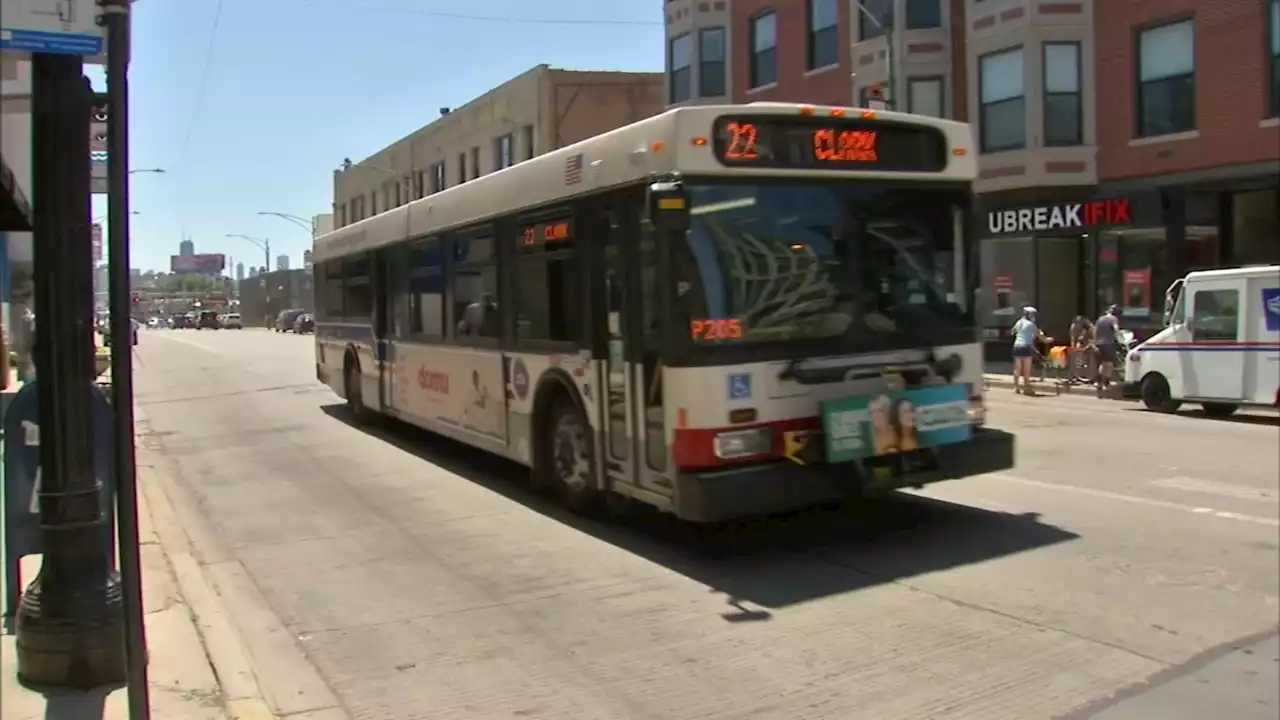 Chicago crime: Could transit ambassadors improve CTA's ridership and safety?