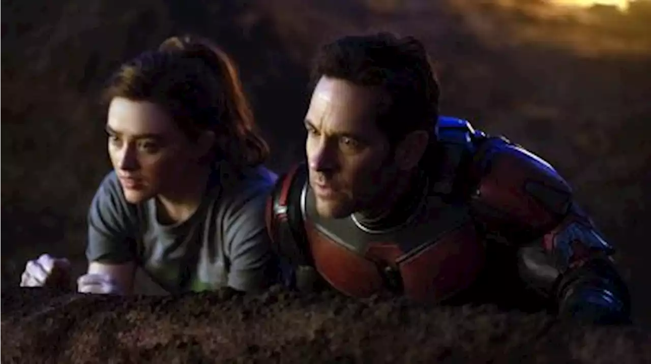 El superhéroe menos pensado: Paul Rudd y Ant-Man, juntos una vez más