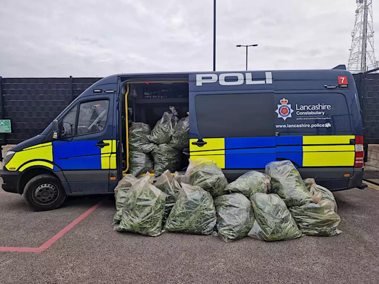 400 plant cannabis factory uncovered in Catterall